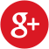 Google Plus Icon